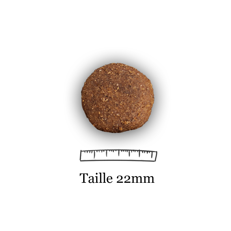 Croquettes Alpes Pro 28/16 Nature Dog 15kg