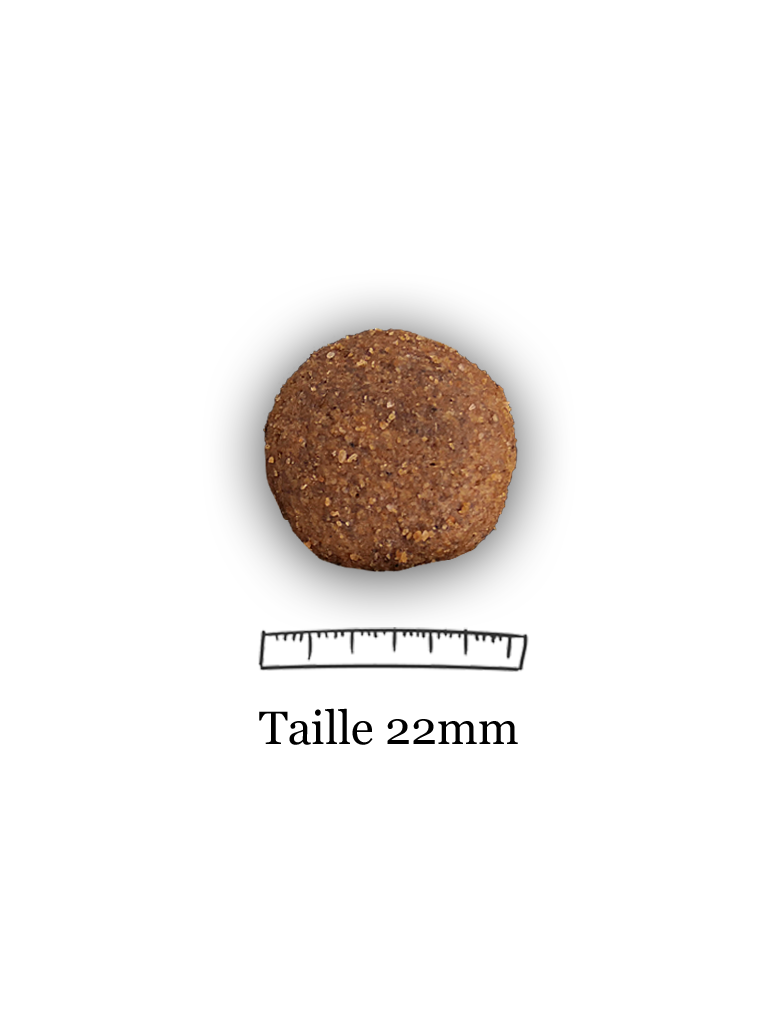 Croquettes Alpes Pro 28/16 Nature Dog 15kg