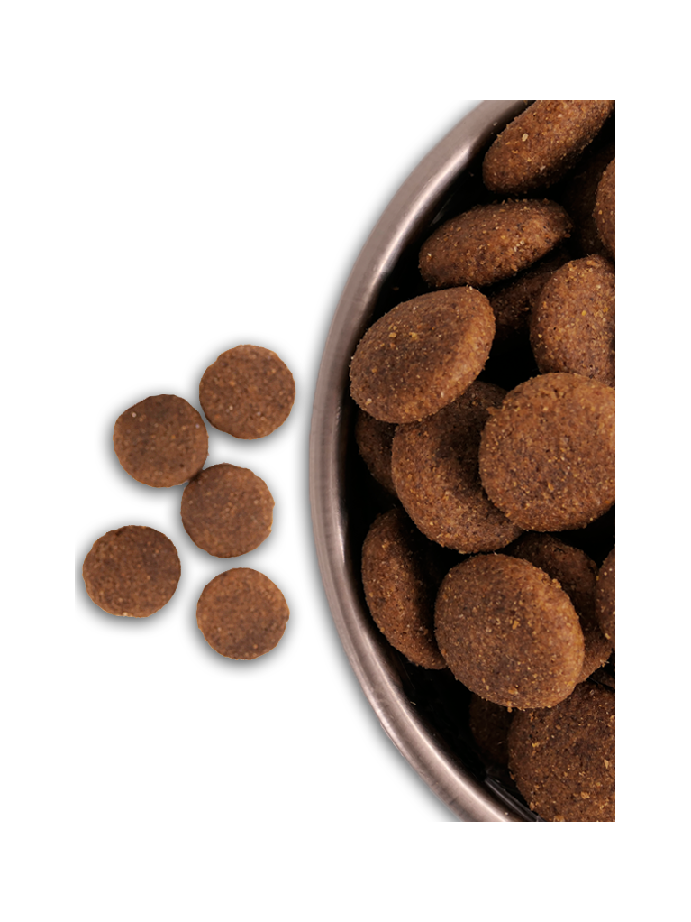 Croquettes Alpes Pro 28/16 Nature Dog 15kg